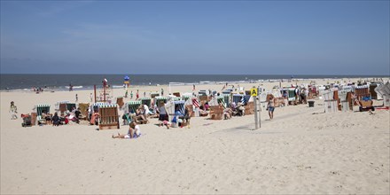 Beach chairs on the sand beach