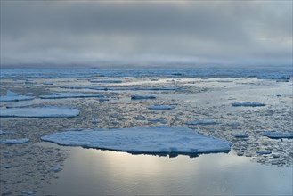 Ice floes