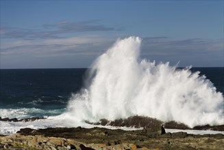 Waves on the coast of Tsitsikamma National Park