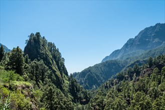 Landscape in the Caldera de Taburiente National Park