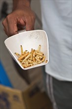 Dried bamboo worms for sale at a market