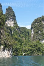 Forested karst limestone mountains with jungle vegetation rising from the water