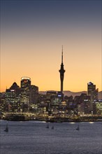 Skyline of Auckland with the Sky Tower at dusk