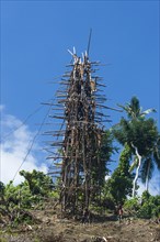 Bamboo tower for the Pentecost land diving