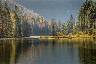 Autumn at Almsee lake