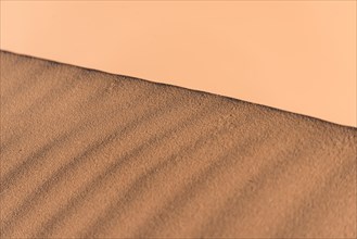 Ridge of a dune