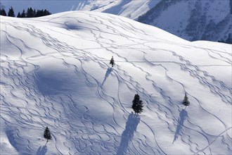 Ski tracks in deep snow