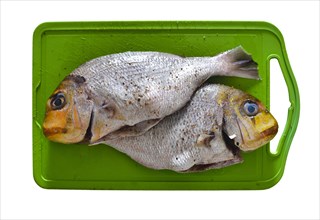 Two gilthead seabreams prepared for frying on a kitchen board