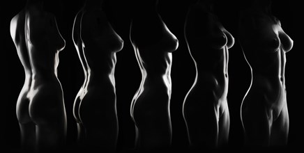 Silhouettes of nude female mannequins