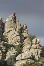 Bizarre limestone rock formations