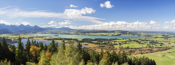 Autumn landscape near Buchenalp overlooking Ostallgau with the lakes of Forggensee and Bannwaldsee