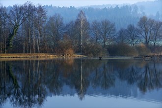 Morning mood in the Naturschutzgebiet Flachsee nature reserve in Rottenschwil