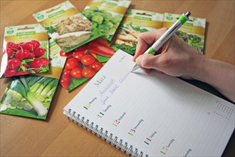 Sowing dates are noted on a calendar next to packets of various seeds