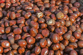 Chinese Chestnuts (Castanea mollissima) for sale on a market