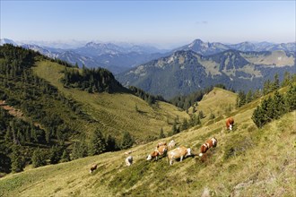 Wallenburg alpine pasture at Mt Croda Rossa or Rotwand