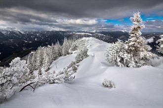 Mt Wildkamm with a winter forest covered in deep snow
