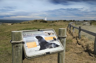 Information board for sea lions