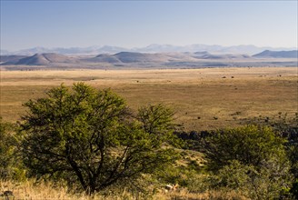 Bank Mountains