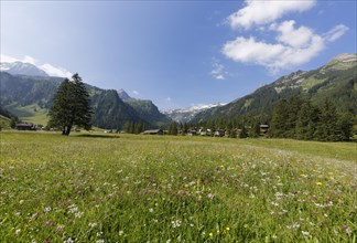 Nenzinger Himmel alpine meadow