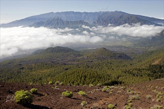 Volcanic crater in the Caldera de Taburiente National Park