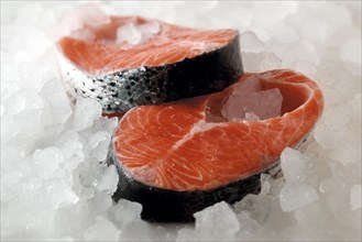 Fresh salmon steaks on crushed ice