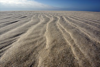 Sand ripple patterns on the beach