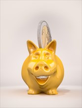 Smiling piggy bank with a 2 euro coin