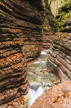 Course of the Taugl stream