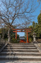 Torii Gate at Tenryuji Temple