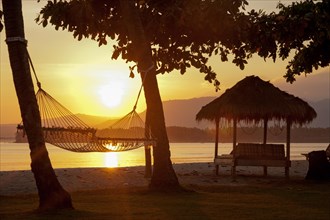 Hammock on a beach
