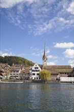 Townscape with the monastery of St. George on the Rhine