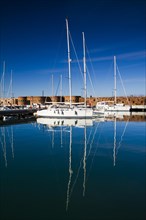 Port of Marina di Pisa