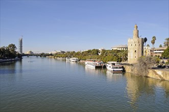 Excursion boats on the bank of the Guadalquivir River