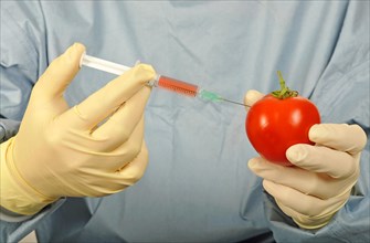 Chemist in sterile scrubs holding a syringe and a tomato