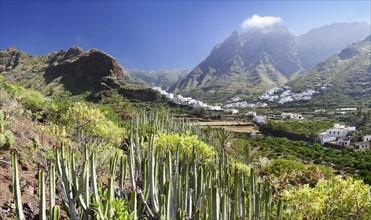 Valley of Agaete