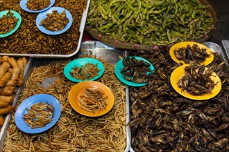 Grilled silkworms and fried crickets