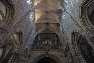 Gothic vault with organ loft and rose window