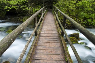 Wooden footbridge over brook with moss-covered stones