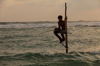 Stilt fisherman fishing in shallow water