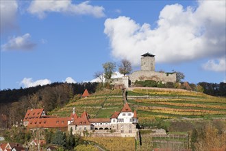 Burg Hohenbeilstein castle in autumn