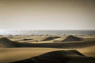 The Dunes of Maspalomas in the diffuse light of a sand storm