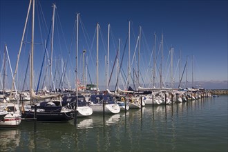 Sailboats in the marina