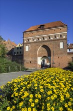 Gate of the city wall