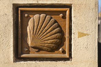 Wooden sign of a scallop