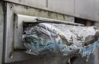 Mail rotting in a letterbox