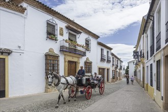 Horse-drawn carriage with tourists in the historic centre