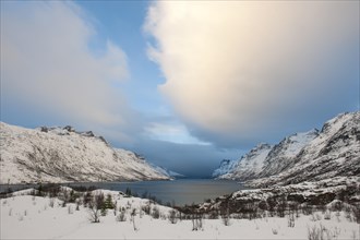 Landscape at Ersfjorden