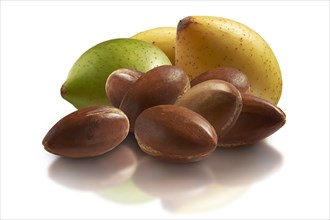 Fresh Argan nuts (Argania spinosa)