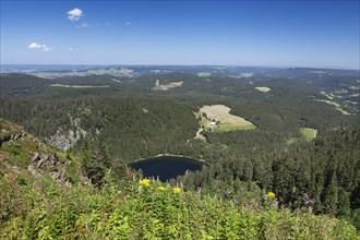 View of lake Feldsee seen from Feldberg mountain
