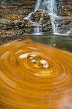 Swirling leaves in a Taugl river inlet